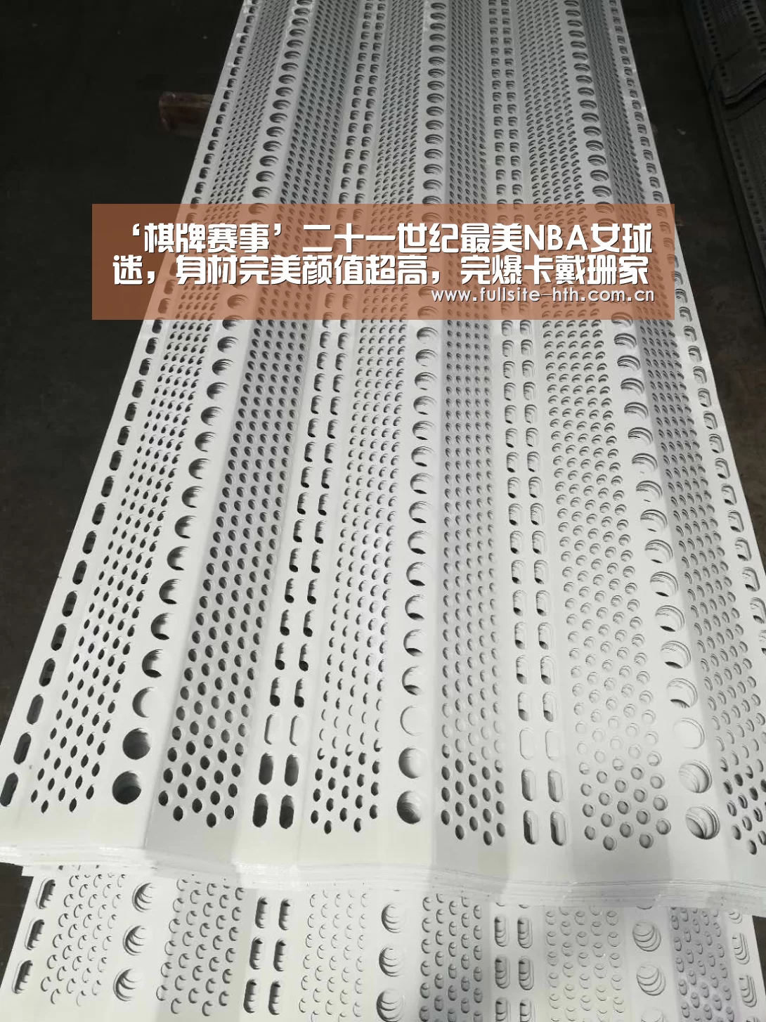 ‘棋牌赛事’二十一世纪最美NBA女球迷,身材完美颜值超高,完爆卡戴珊家族(图1) 棋牌赛事
